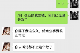 博罗为什么选择专业追讨公司来处理您的债务纠纷？